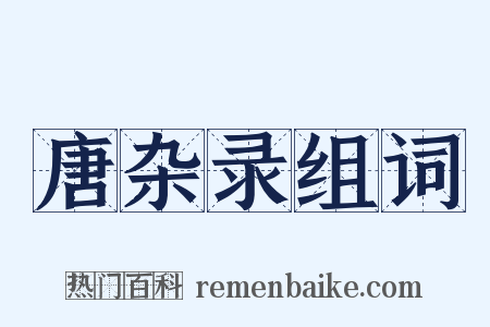 唐杂录组词是什么意思的图片